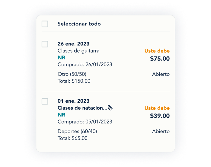 Registro de gastos en OurFamilyWizard